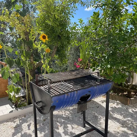 Apartamento Gargano *